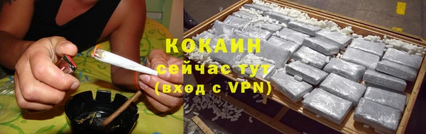 соль ск Алексин