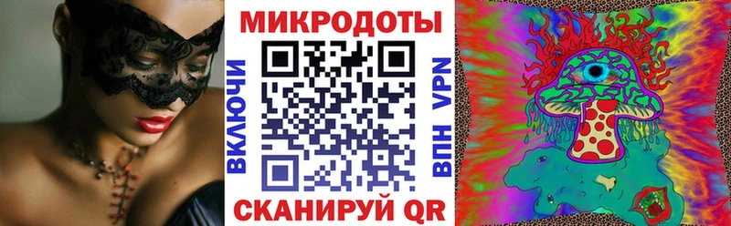 мега   Козловка  Псилоцибиновые грибы Psilocybine cubensis 